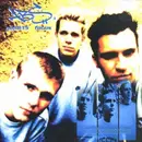 12'' - ABS - Null-8/15 / Focus