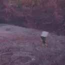 12inch Vinyl Single - Absorver - Unsaid Ideas - Multicoloured vinyl edition + Poster