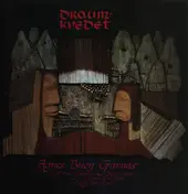 Agnes Buen Garnås - Draumkvedet