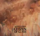 CD - agnes obel - Citizen Of Glass - Digipak