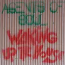 12'' - Agents Of Soul - Waking Up The House