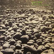 Agitpop - Feast of the Sunfish