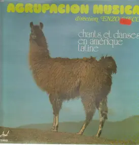 Agrupacion Musica - chants et danses en amerique Latine