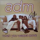 12'' - Adm - When You Wanna Move