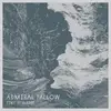 Double LP - ADMIRAL FALLOW - Tiny Rewards (incl.3 Bonustracks & Mp3 Code)