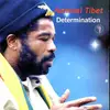 LP - Admiral Tibet - Determination