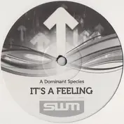 Streetwise Music Presents