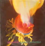 LP - Adorable - Against Perfection