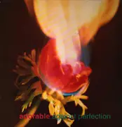 LP - Adorable - Against Perfection