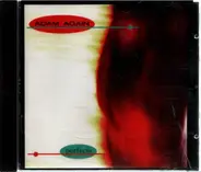 Adam Again - Perfecta