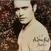 CD Single - Adam Ant - Wonderful