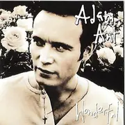 CD - Adam Ant - Wonderful - Club Edition