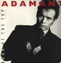 12inch Vinyl Single - Adam Ant - Room At The Top