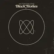 Adam Franklin & Bolts Of Melody - Black Horses