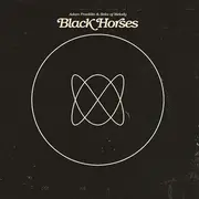 CD - Adam Franklin & Bolts Of Melody - Black Horses - Digipak