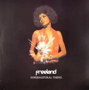 12inch Vinyl Single - Adam Freeland - Supernatural Thing