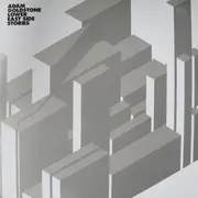 Double LP - Adam Goldstone - Lower East Side Stories