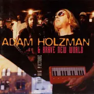 Adam Holzman & Brave New World - The Big Picture