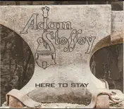 Adam Steffey - Here To Stay