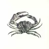 12inch Vinyl Single - Adam Strömstedt - Crab Shack