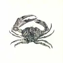 12inch Vinyl Single - Adam Strömstedt - Crab Shack