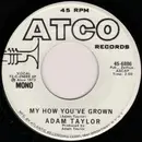 7inch Vinyl Single - Adam Taylor - My How You've Grown