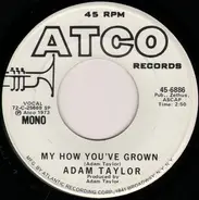 Adam Taylor - My How You've Grown