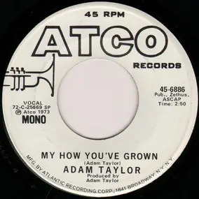 Adam Taylor - My How You've Grown