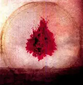 ADAM ARCURAGI - LIKE A FIRE THAT..