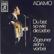 Adamo - Du Bist So Wie Die Liebe