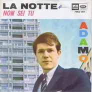 Adamo - La Notte / Non Sei Tu