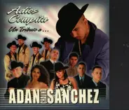 Adan Chalino Sanchez - Adios Campita Un tributo a Adan Chalino Sanchez
