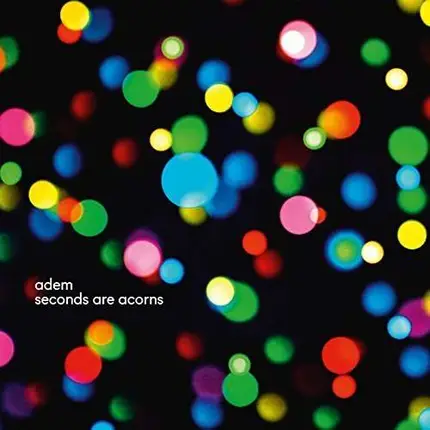 Adem - Seconds Are Acorns