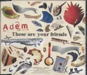 Adem - These Are Your Friends Ep