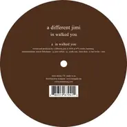 A Different Jimi - In Walked You