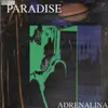 12'' - Adrenalina - Paradise