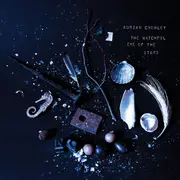 CD - Adrian Crowley - The Watchful Eye Of The Stars