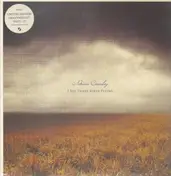 Adrian Crowley - I See Three Birds Flying