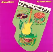 Adrian Belew - Mr. Music Head