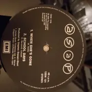 12inch Vinyl Single - Adrian Smith And Project - Down The Wire - Postersleeve