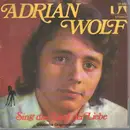 7inch Vinyl Single - Adrian Wolf - Mein Geschenk An Dich
