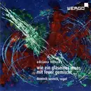 CD - Adriana Hölszky - Dominik Susteck - Wie Ein Gläsernes Meer, Mit Feuer Gemischt ...