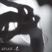 AD - Avn #003