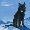 LP - ADVANCE BASE - Animal Companionship