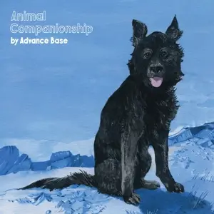 ADVANCE BASE - Animal Companionship
