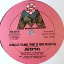 12inch Vinyl Single - Adventure - Phantasy Eyeland (What Is Your Phantasy)