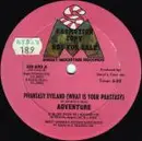 12'' - Adventure - Phantasy Eyeland (What Is Your Phantasy)