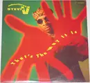 LP - Adventures Of Stevie V. - That's The Way It Is