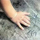 LP - Aera - Hand Und Fuß