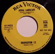 Aerial Landscape - Proposition 13